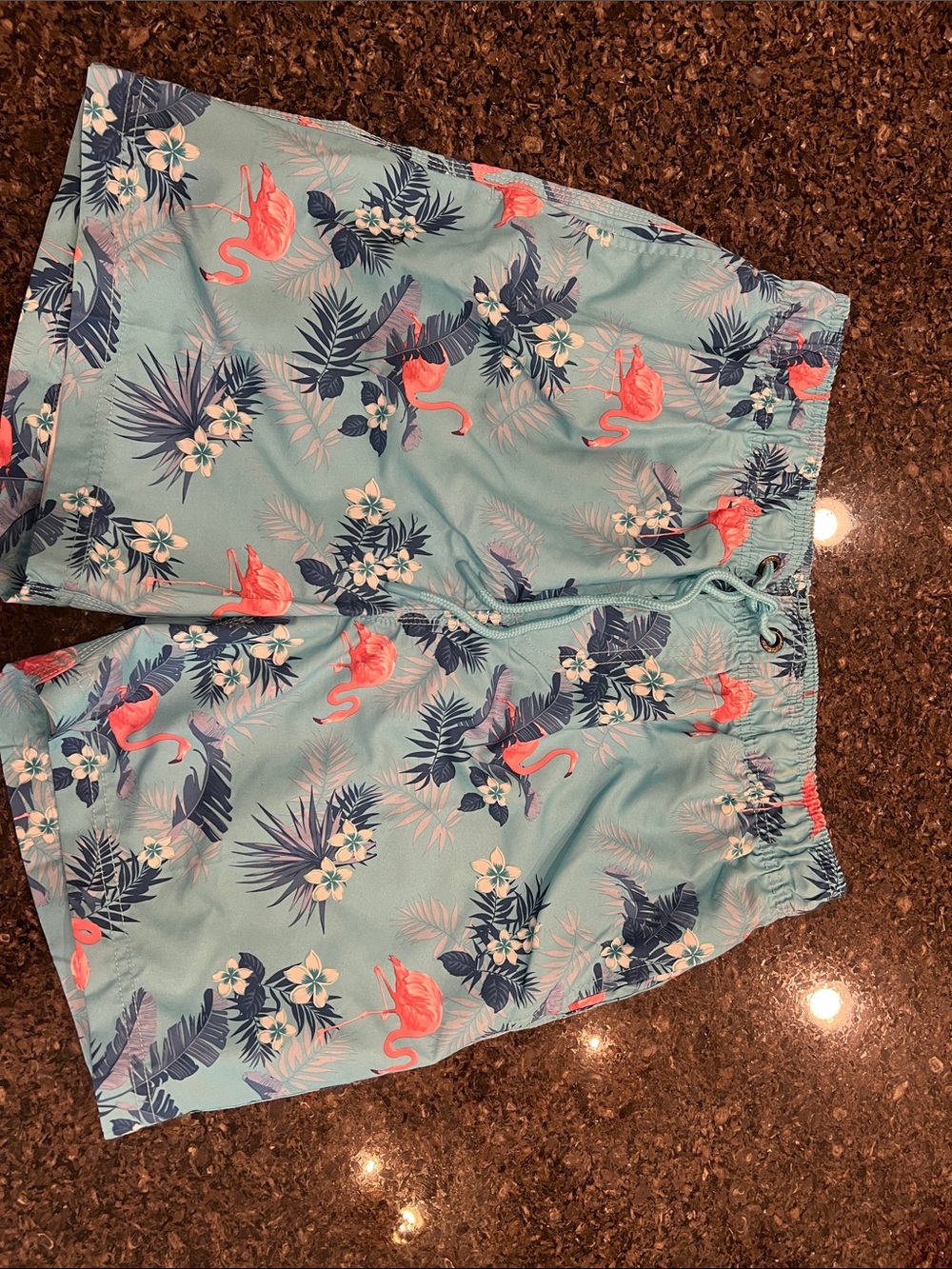 Men’s Tropical Flamingo Print Shorts - Light Blue